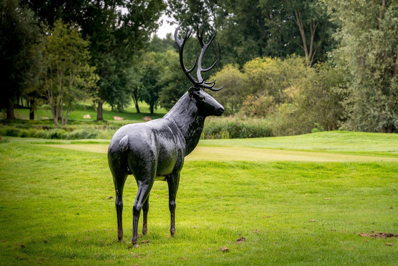 Готель Le Pavillon Du Golf D'Arras Анзен-Сент-Обен Екстер'єр фото